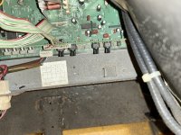 IMG_6143.jpeg