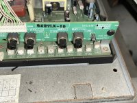 IMG_6141.jpeg