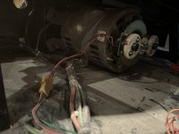 IMG_6150.jpeg