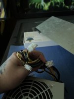 IMG_7421.jpeg