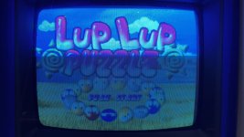 IMG_6328.jpeg