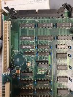 IMG_5172.JPEG