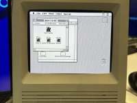 IMG_6112.jpeg