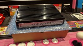 IMG_8249.jpeg