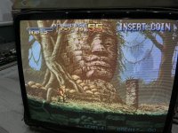 IMG_1126.jpeg
