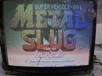 IMG_1202.jpeg