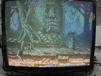 IMG_1203.jpeg