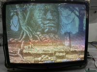 IMG_1204.jpeg