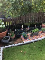 IMG_9560.jpeg
