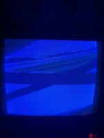 IMG_5508.jpeg