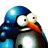 Penguinator