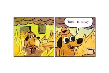 this-is-fine.jpg