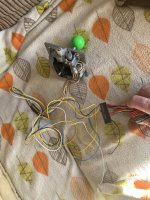 IMG_1356.jpeg