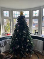 IMG_5232.jpeg