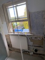 IMG_2445.jpeg