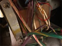 IMG_3181.jpeg