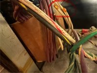 IMG_3179.jpeg