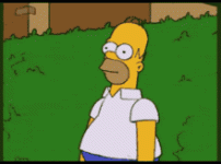 1000010895.gif 1000010895.gif