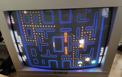 Pacman running 0224.jpg