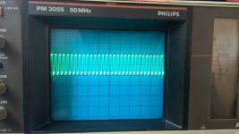 fly-4[1].jpg