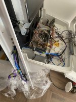 IMG_5728.jpeg