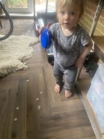 IMG_5931.jpeg