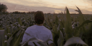 1722673837018.gif