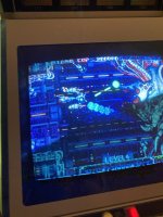 IMG_6681.jpeg