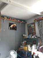 IMG_5425.jpeg
