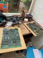 IMG_7531.jpeg