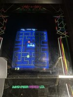 1000003251.jpg