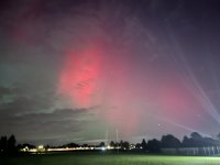 IMG_0110.jpeg