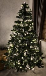 IMG_7829.jpeg