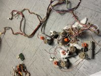 IMG_1513.jpeg