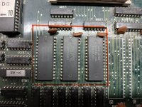 pic13.jpg
