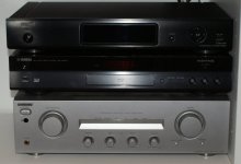 DSC07340.jpg