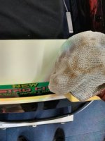 20250127_141610.jpg 20250127_141610.jpg