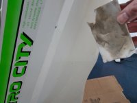 20250127_152759.jpg 20250127_152759.jpg