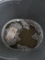 20250127_153537.jpg 20250127_153537.jpg