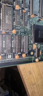 2025-01-31 12.09.35.jpg