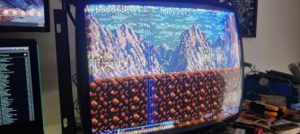 2025-01-31 12.10.03.jpg