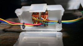 IMG_20250215_160326_247.jpg IMG_20250215_160326_247.jpg