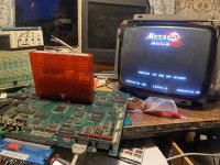 IMG_1453.jpeg