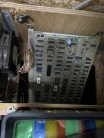 IMG_8358.jpeg