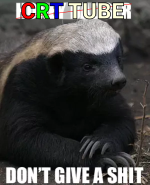 crttubedontgiveashit.png