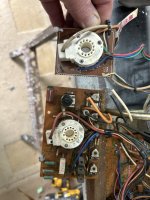IMG_5784.jpeg IMG_5784.jpeg
