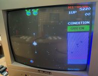 Bosco freeplay playing.JPG