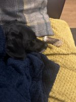 IMG_2710.jpeg