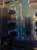IMG_3684.jpeg IMG_3684.jpeg