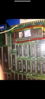 IMG_6026.jpeg IMG_6026.jpeg